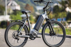 На омской границе задержали крупную партию «серых» электровелосипедов