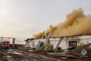 Под Омском горел огромный склад с овощами