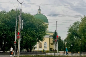 Тополя, вырубленные у омского ТЮЗа, заменят на черемуху и яблони