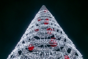 «Льдинки», «Снежинки», «Фонарь»: мэрия Омска ищет подрядчика, который украсит город к Новому году и Рождеству