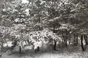 В районе Омской области введен режим ЧС из-за раннего снега