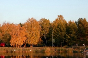 Антициклон принесет в Омскую область потепление до +15 градусов