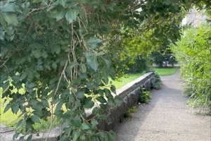 В 2026 году в Омске благоустроят только один сквер