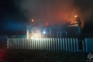 В горящем доме в Омской области погибли два человека