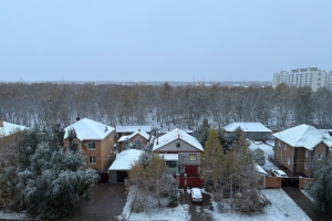 В Омске начался первый в сезоне снегопад