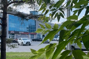 В Омске выставили на продажу здание речного вокзала