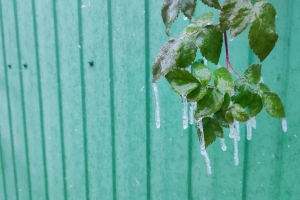 Синоптики прогнозируют мокрый снег с дождем и гололед в Омской области