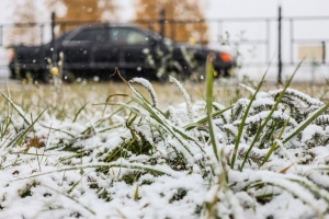 Снег с дождем задержатся в Омской области как минимум до субботы