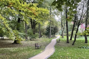 Самовольно нельзя: власти Омска рассказали, как получить разрешение на высадку деревьев возле многоэтажки