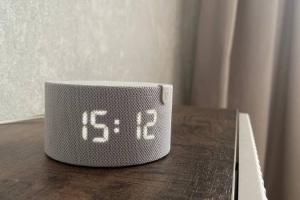 Слышат все: в Роскачестве призвали не обсуждать «чувствительную информацию» возле  умных колонок