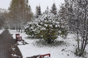 Ближе к выходным в Омскую область придет похолодание