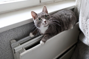 В Амурском поселке Омска третий день нет отопления и горячей воды из‑за аварии на газопроводе