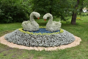 Сергей Шелест рассказал об итогах озеленения Омска в 2025 году