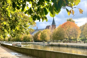 Маршрут Омск-Калининград эксперты назвали «недообслуженным» направлением 