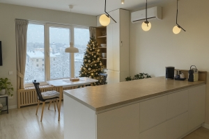 В Омске подорожала аренда жилья на Новый год