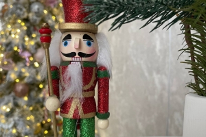 В Омске отменили ледовое шоу «Щелкунчик» —  на него продали только половину билетов