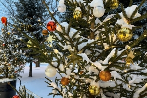 Омские синоптики обещают нестабильную погоду в новогодние каникулы
