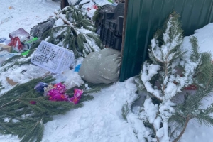 «Один раз в десять дней»: омский регоператор объяснил, почему в городе стали реже вывозить мусор