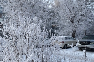 Экстремальные морозы на подходе: в Омской области ожидается до −36 градусов