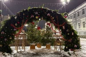 Новогодней ночью в Омской области ожидаются метель и легкий мороз