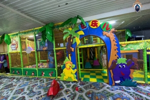 В Омске будут судить владельца игрового комплекса, где 4-летний ребенок сломал позвоночник