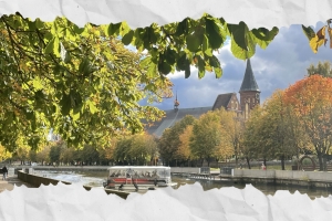 Многие уезжают из Омска на зимовку, а как улететь на «весновку» в Калининград и сколько это будет стоить?