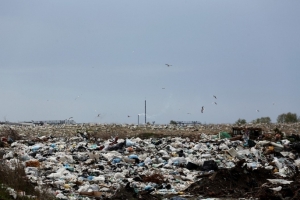 Омску дадут более 60 млн на проект по устранению свалок