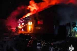 В МЧС назвали причину крупного пожара в коттеджном поселке Омска