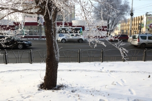 Февраль в Омской области начнется с тумана и изморози