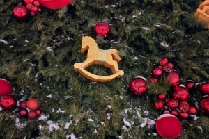 Елка из омского села стала призером всероссийского голосования