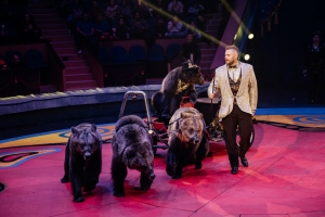 Медведи на байках и акробаты без страховки: Филатовы возвращаются в Омск