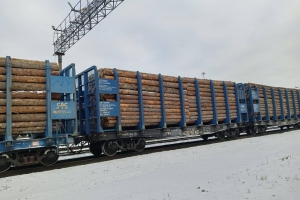 Условные сроки за лес: в Омской области осудили замдиректора лесхоза и его брата