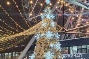 Две ели из Омска вышли в финал всероссийского голосования