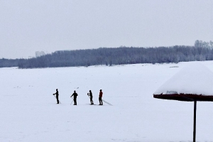 Омские власти планируют довести до 70% число жителей, занимающихся спортом: что для этого будут делать