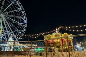 Две ели из Омска вышли в финал всероссийского голосования