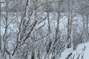 «Грейдер сломан, тракториста нет»: жители Ишеево бьют тревогу из‑за снежных завалов