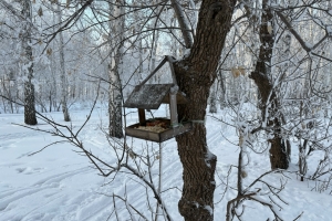 В Омской области ожидаются температурные качели