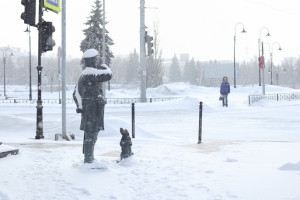 Сильный ветер и метель: в Омской области к среде ухудшится погода