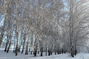 Жителей Омской области предупредили о громких хлопках