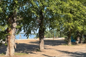 Для благоустройства Куйбышевского пляжа в Омске снова вырубят деревья