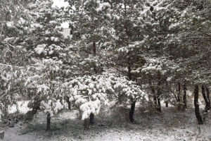 Тепло и снежно: синоптики рассказали о погоде на 14 февраля в Омской области