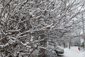 Снегопады и потепление до 0 градусов ожидаются в Омской области
