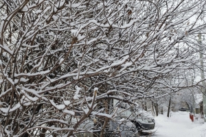 Рекорды погоды в Омской области: от −48,6° в 1931 году до +40° в 1946‑м