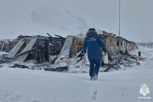 В Омской области пожар на животноводческой ферме унес жизни 43 животных