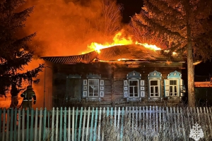 В Омской области в ночном пожаре погибли мужчина и женщина