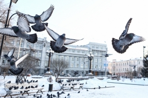На выходных в Омской области обещают мокрый снег с дождем