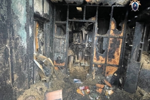 В Омской области при пожаре погибли два человека - возбуждено уголовное дело