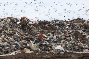 Суд обязал устранить свалку с ртутью в Омской области