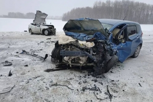 Два водителя погибли в метель на трассе в Омской области