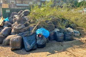 За вывоз мусора после субботника придется платить. Сколько это стоит?